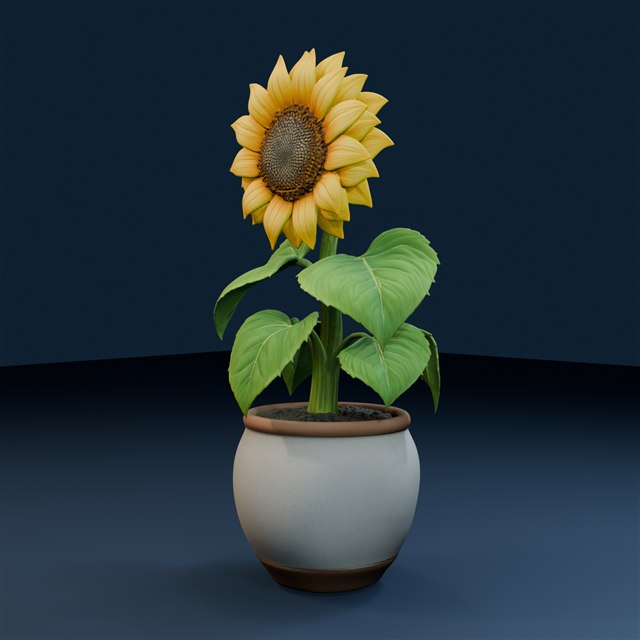 Digital model of a yellow sunflower with broad green leaves in a rounded pot